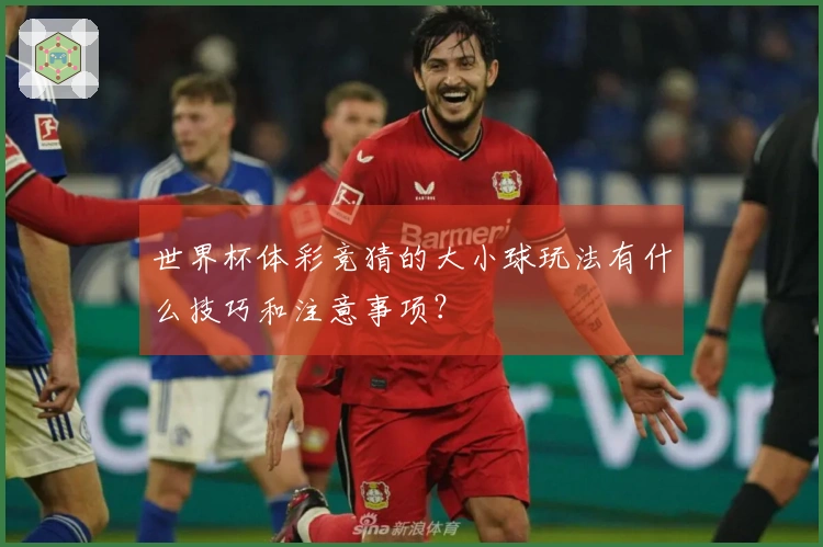 世界杯体彩竞猜的大小球玩法有什么技巧和注意事项？