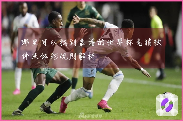 哪里可以找到靠谱的世界杯竞猜软件及体彩规则解析