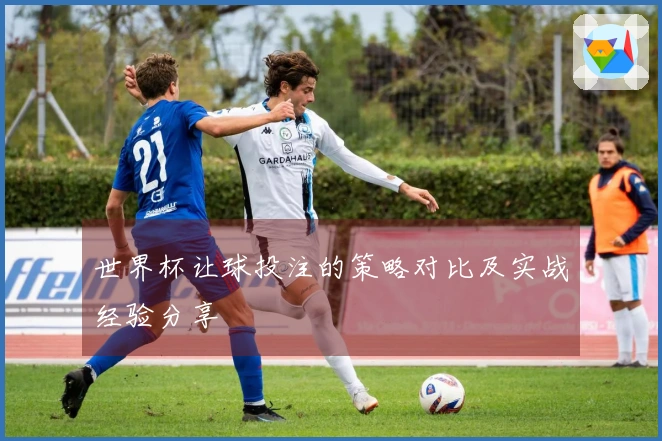 世界杯让球投注的策略对比及实战经验分享