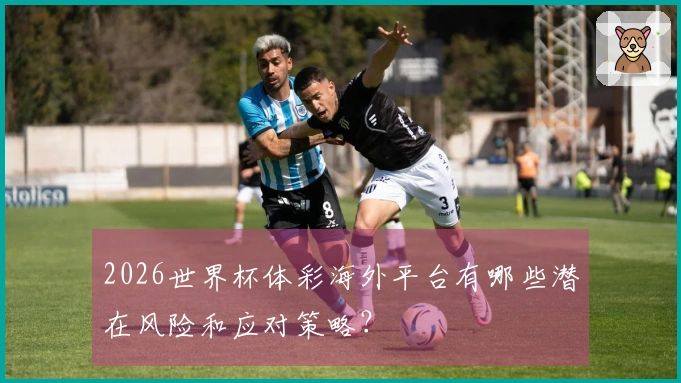 2026世界杯体彩海外平台有哪些潜在风险和应对策略？