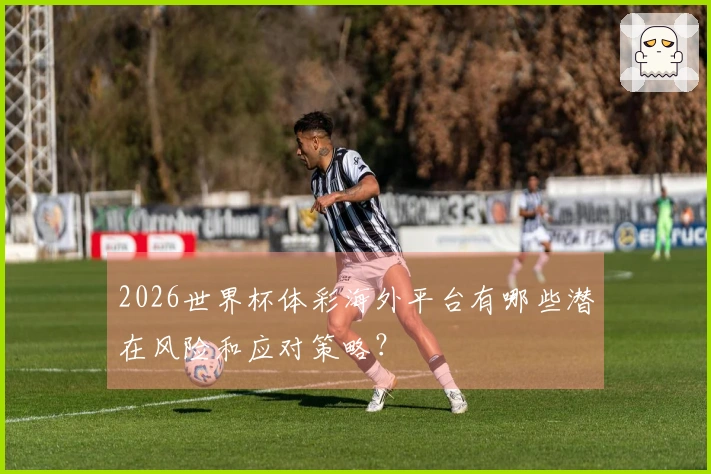 2026世界杯体彩海外平台有哪些潜在风险和应对策略？